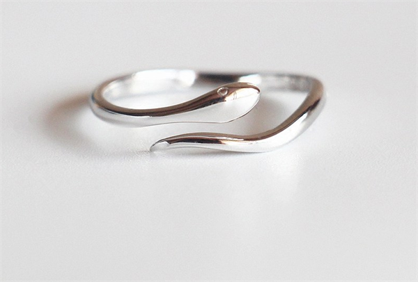 1643362445957063.png 纯银戒指