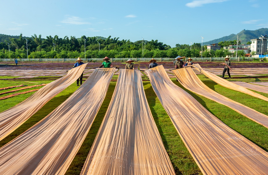 广西蒙山:加工香云纱