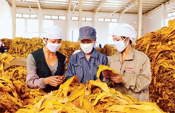 烟叶分级灯箱的色温和显色指数是多少?