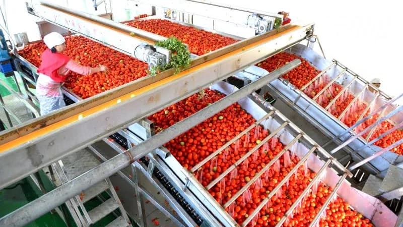 番茄酱的颜色分级,认准三恩时YS4580分光测色仪!3